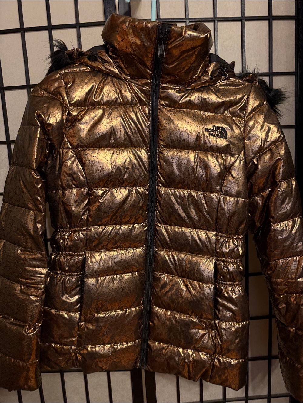 The North Face Women’s Metallic Gold Puffer Jacket with Hood